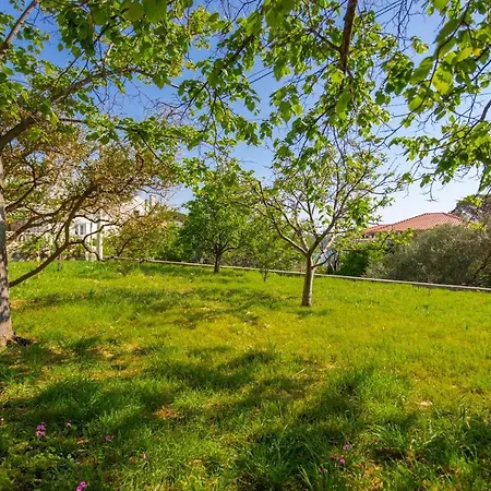 Apartment Bozica Barbat na Rabu